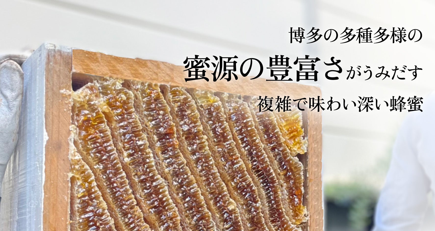 博多ハニーより「ふわっ」とはちみつ香る 贅沢なチョコスプレッド