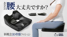 【運転・デスクワーク特化】腰の負担軽減、体のバランスをサポート！骨盤クッション