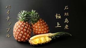 石垣島産【極上パイナップル】第三弾！売上一部を能登半島地震被災地へ