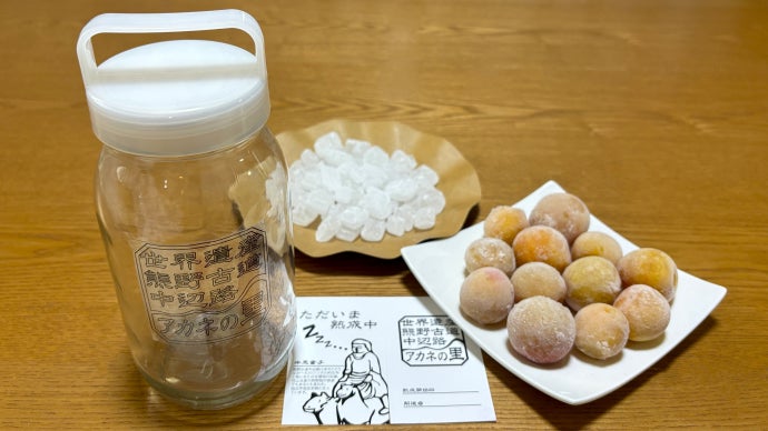市場流通のない幻の梅【橙高】で黄金の梅酒・シロップを作成できる