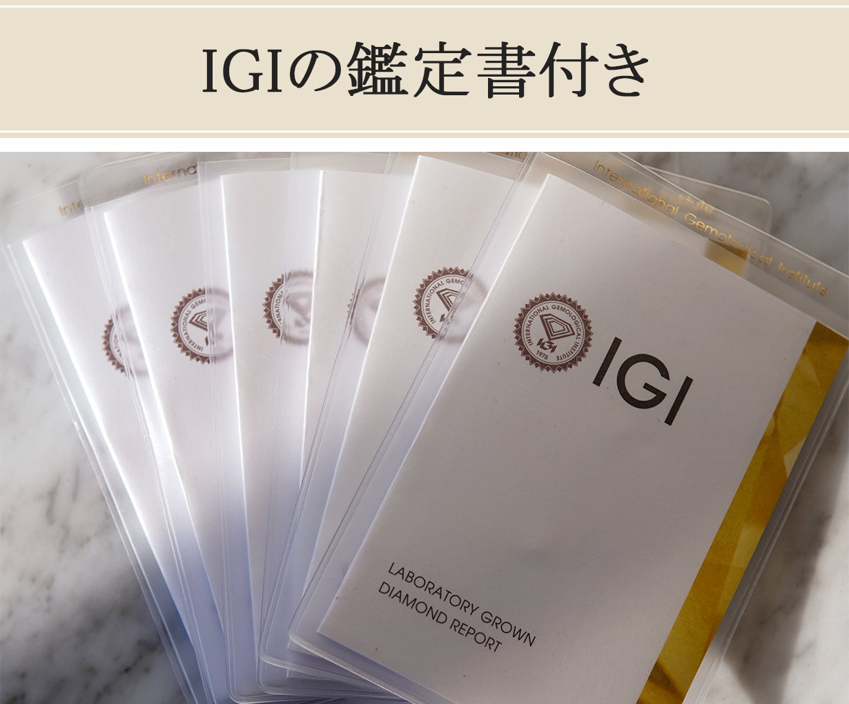 世界が注目】