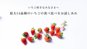山梨のいちご農園で、ヴァイオリンとディナーを楽しむ特別な夜。特別な新商品もご用意