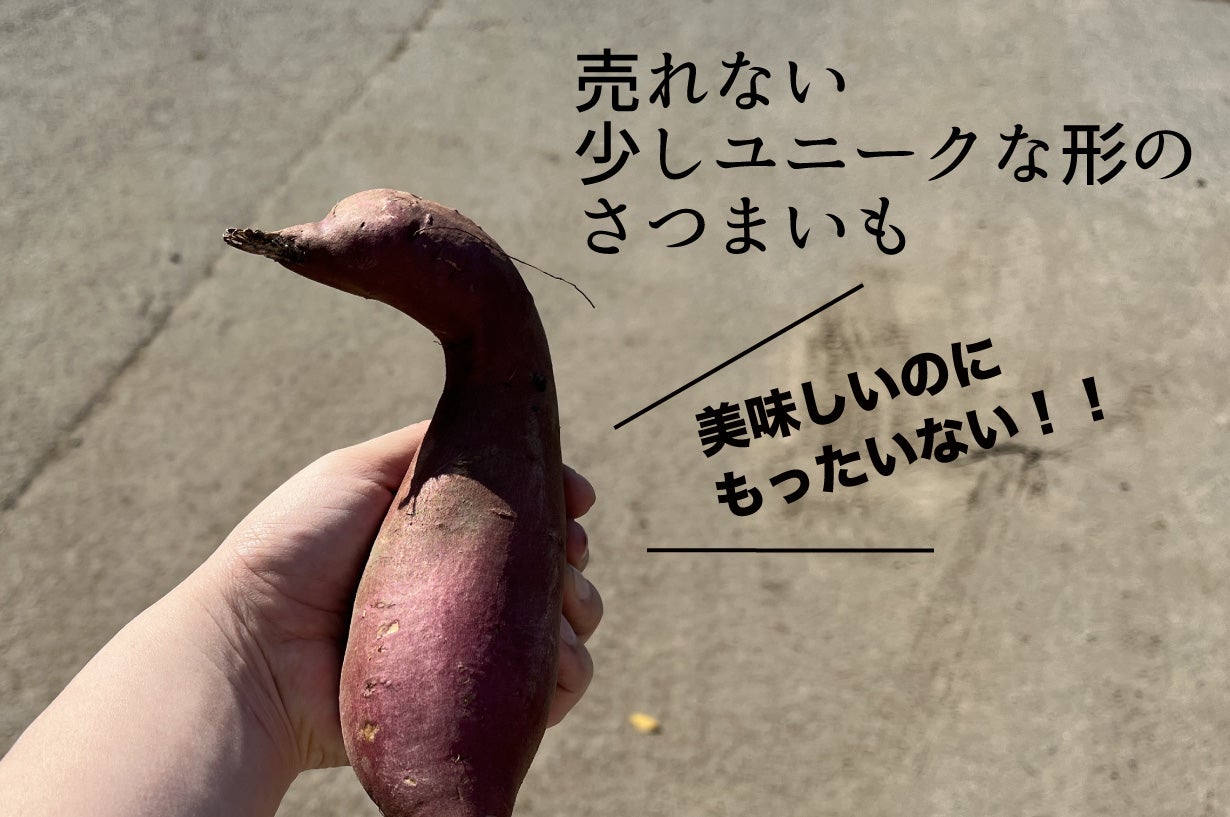 累計約1500人突破！形は規格外、甘さは本物。甘すぎて研究対象になった