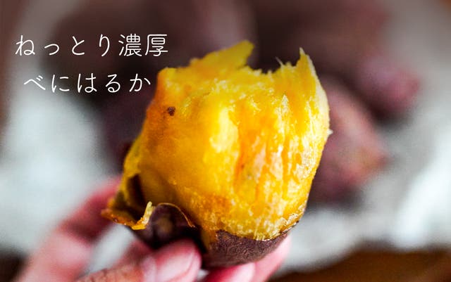 累計約1500人突破！形は規格外、甘さは本物。甘すぎて研究対象になった