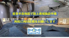 【能登半島地震で養殖施設半壊】再起に向け応援をお願いしますリージョナルフィッシュ