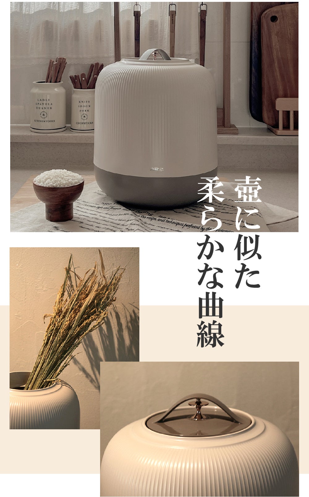 お米を新鮮保存】 酸化、湿気からお米の鮮度をキープ！大容量10KG真空