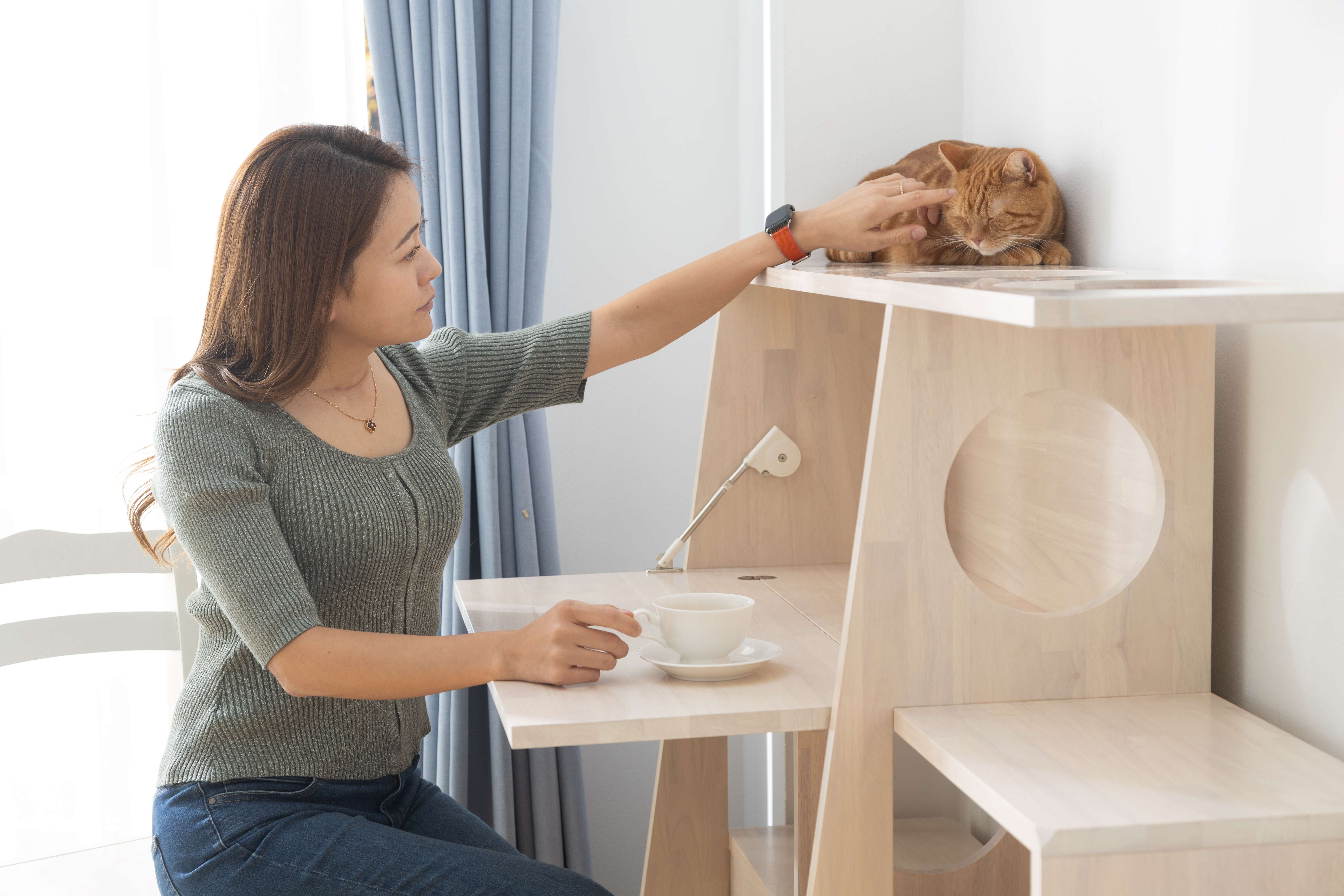 猫との暮らしを当たり前に。キャットタワー、シェルフになる猫にも