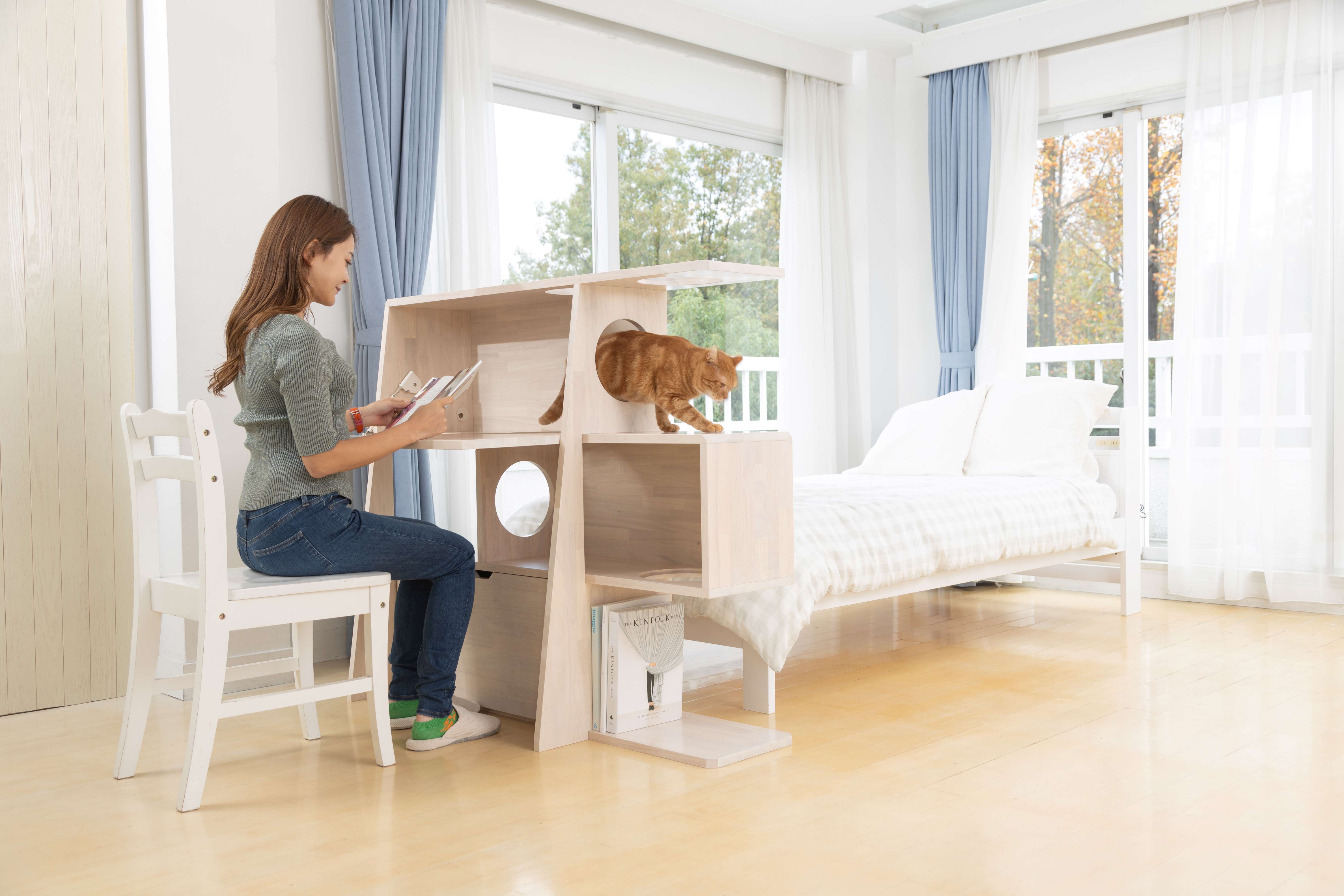 猫との暮らしを当たり前に。キャットタワー、シェルフになる猫にも