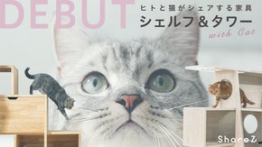 猫との暮らしを当たり前に。キャットタワー、シェルフになる猫にも優しい家具