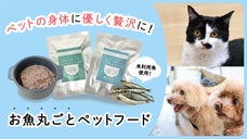 ペットサロンと漁師さんの共同開発！いわしとさばのお魚丸ごとペットフード