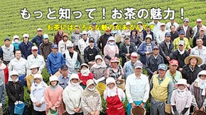 お茶の魅力を茶畑から　- もっと伝えたい、いろんなお茶の魅力 -