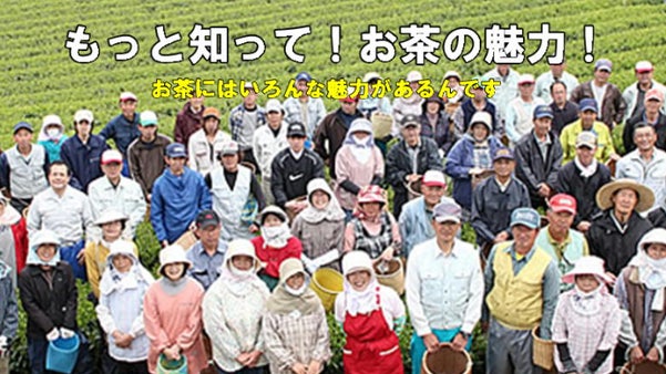 お茶の魅力を茶畑から　- もっと伝えたい、いろんなお茶の魅力 -