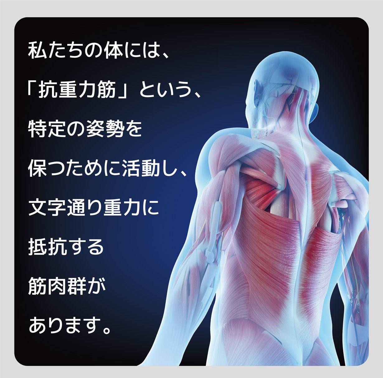 首を前後左右に傾ける！首の筋トレで健康の新習慣「ネックトレーナー