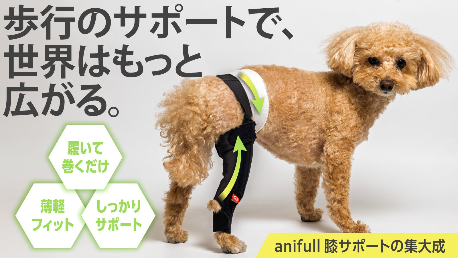 Makuake｜膝蓋骨周辺をしっかり支える犬用膝サポーター“アニサポ