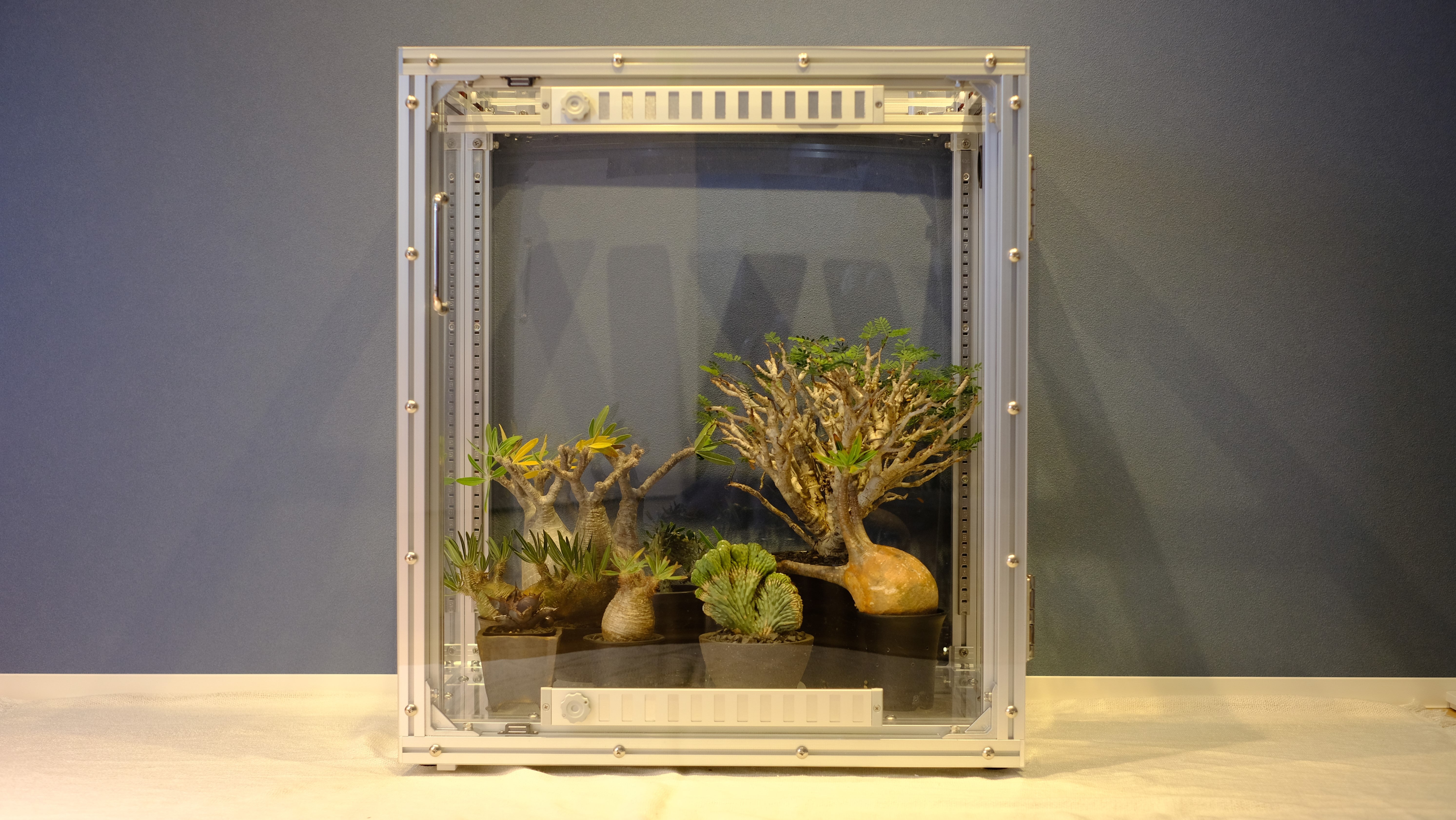 植物の室内育成をもっとオシャレに◎機能性とデザインに特化したアルミ