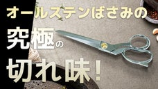 【食材の下ごしらえの新世界】魚や肉も鋭くCUT！オールステンレスキッチンバサミ