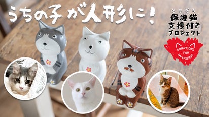 オーダーメイドで作る愛猫人形『うちの子人形』 保護猫支援付き