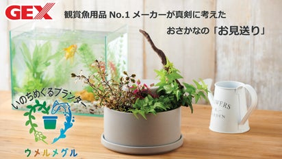 いのちがめぐるプランター】おさかなをやさしく土に還す埋葬キット