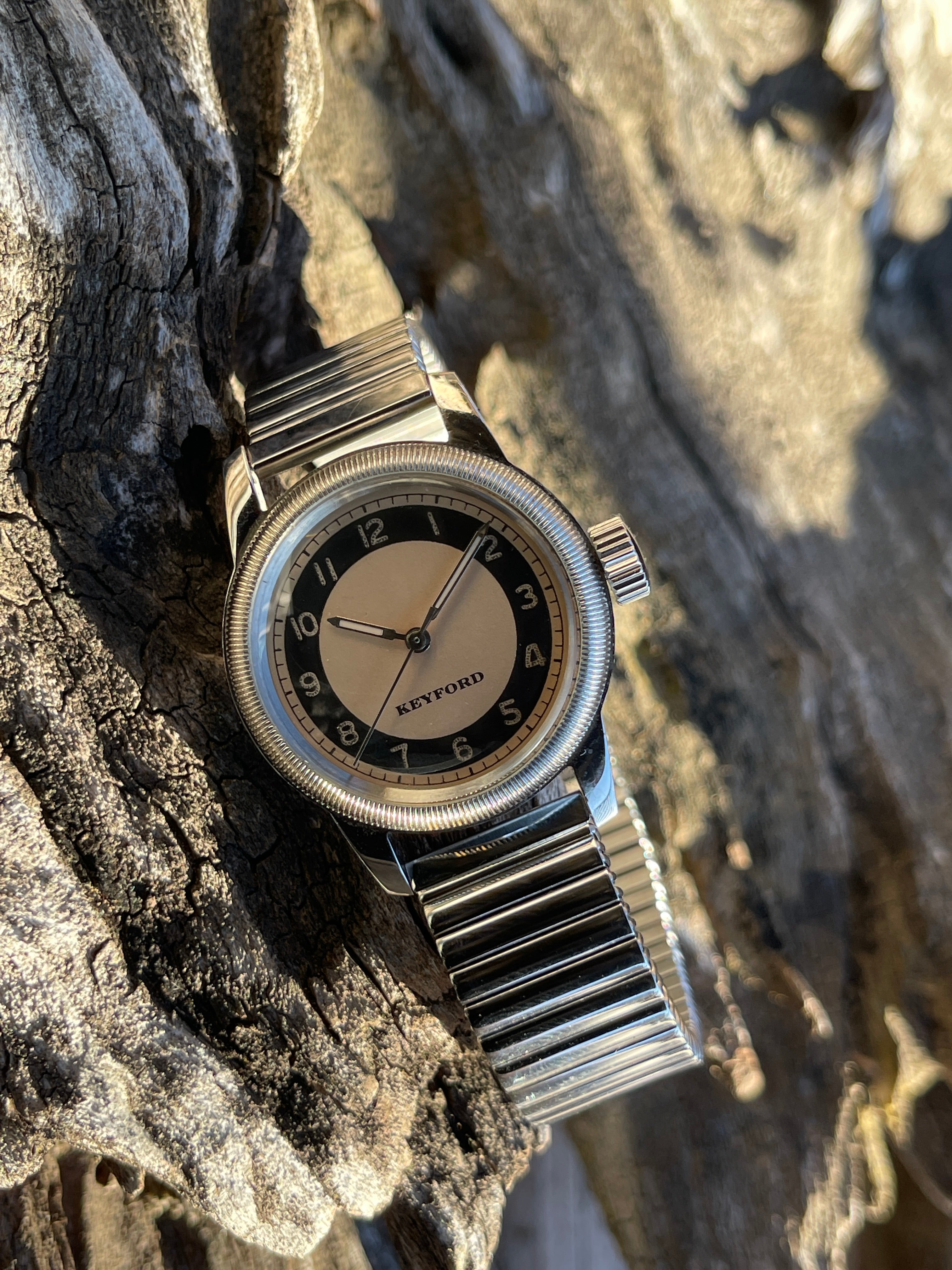 ダイヤ付き時計 The tuxedo dial watch