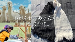 伝統技術で紡ぐエアリーヒーター！ベビーアルパカのマフラー＆ストール【第2弾】
