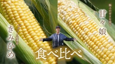 【産地直送】とうもろこし作りのプロが極めた「幻」の２品種を食べ比べてみませんか？