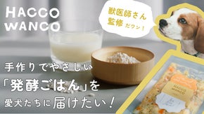 発酵ペットフード 『Hacco Wanco』　甘酒ｘミキの新しいペットフード