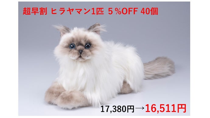 猫騙/Megalomania 帯付き Amazon.co.jp: Megalomania - 猫騙: ミュージック