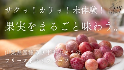 山梨の完熟果実をフリーズドライ！農家の6次化で実現したサクッフワッ