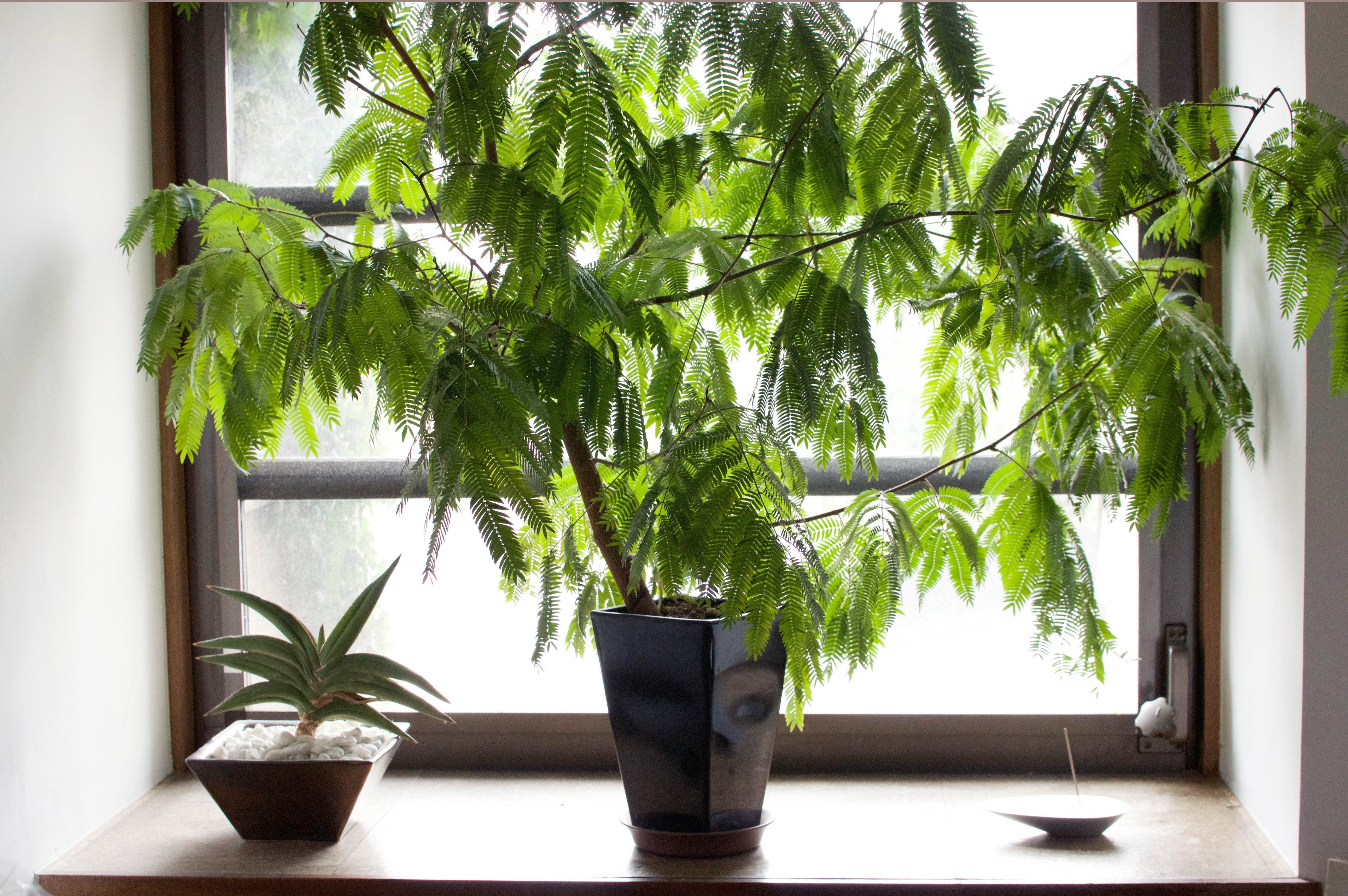 どんな部屋にも合う、記憶に残るお香。芸術家が生み出すインテリア