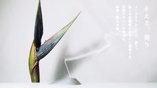 どんな部屋にも合う、記憶に残るお香。芸術家が生み出すインテリア「そえる、香り」