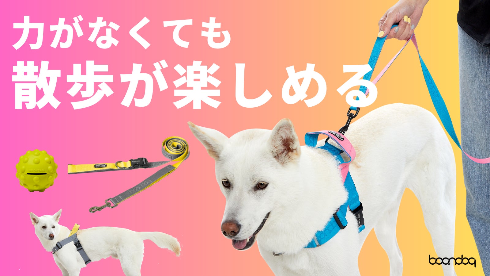 いぬだ出品 もう引っ張らない快適な散歩！リードが外れにくい二重安全装置