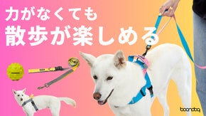 もう引っ張らない快適な散歩！リードが外れにくい二重安全装置。リード＆ハーネス