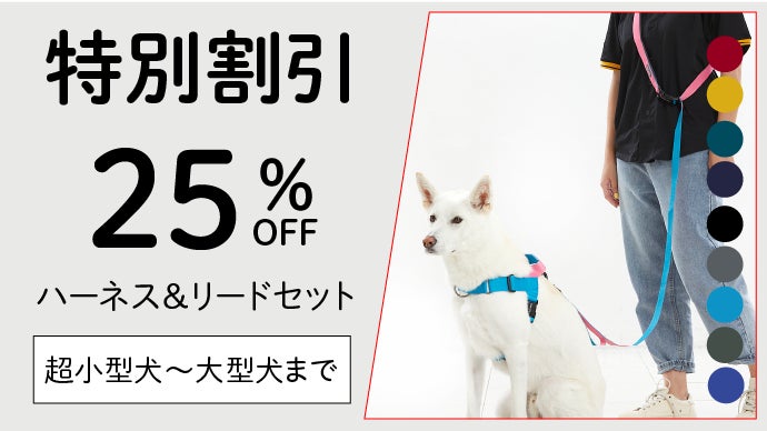 もう引っ張らない快適な散歩！リードが外れにくい二重安全装置。リード