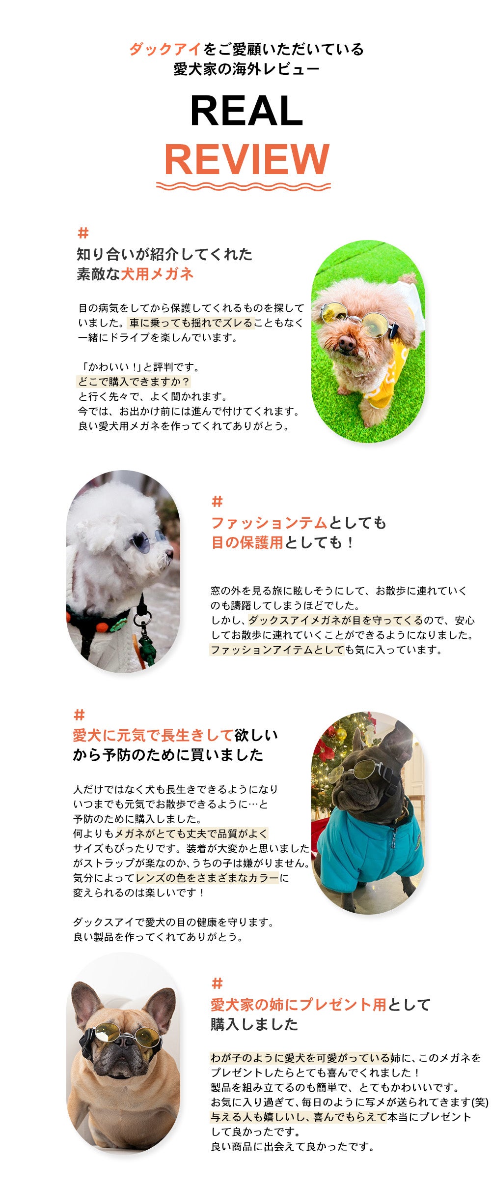 UVカットレンズ採用！犬専用に設計されたサングラス。daengs_eye