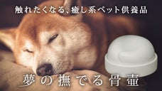 供養を身近に。つい触れたくなる、癒し系ペット供養品｜夢の撫でる骨壷