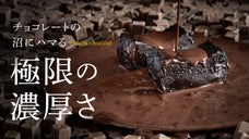 世界でも希少なチョコレートと戯れる。チョコレートラバーのための、ガトーショコラ。