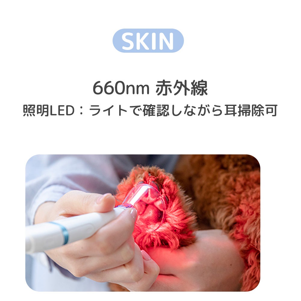 痛みも、音も、熱も無い光を使ったペット健康維持の毛並みケア