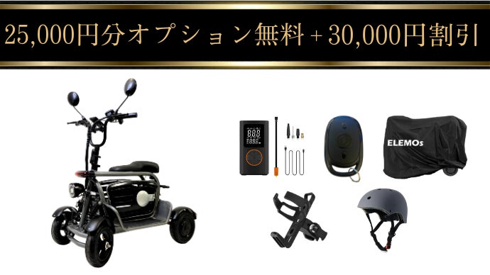 送料無料相談可！超希少＆超美品！安定感抜群！大人用四輪車！ けんきゃくん | 電動アシスト付自転車、電動カート、電動車椅子の購入