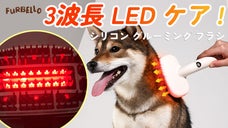 散歩後や入浴後に♪ 手軽にケアできる『FURBELLO ペットスタイラー』