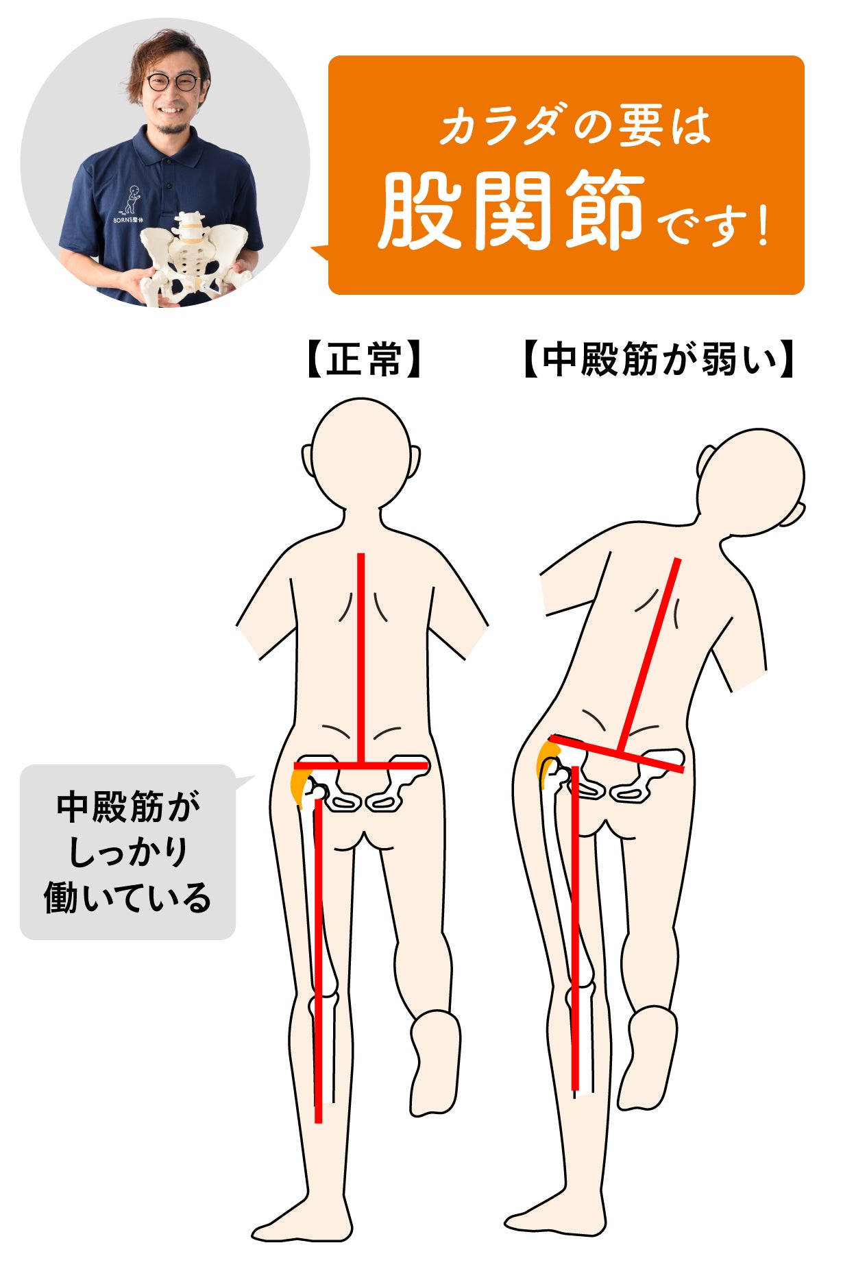 月収100万円を目指す！腰痛施術完全バイブル 楽天市場】「月間優良ショップ☆お値打ち価格☆クーポン利用販売