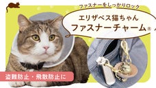 ファスナーをしっかりロック！エリザベス猫ちゃんファスナーチャーム