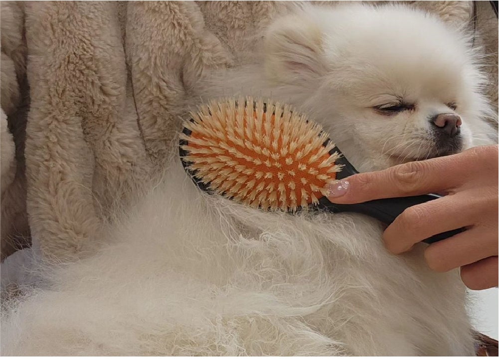ペットのもつれた毛の整理とクーリングケアを同時に！オールインワン