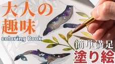 大人から始める塗り絵！新しい趣味ならコレ！手軽に誰でも簡単、自分の絵に大満足！