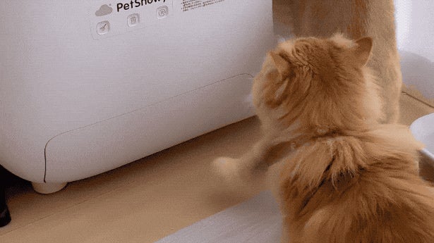JSFとのコラボによる新色、ニオイを徹底的に遮断！PetSnowy全自動猫