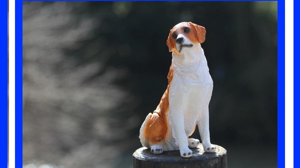 人気野球選手の心ときめく愛犬「コーイケルホンディエ」リアルな置物。 心豊かに。
