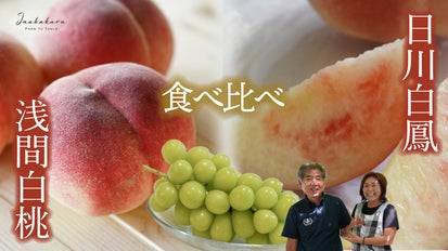 日本屈指の桃のブランド産地「一宮町」から、熟練の桃農家が推す2品種