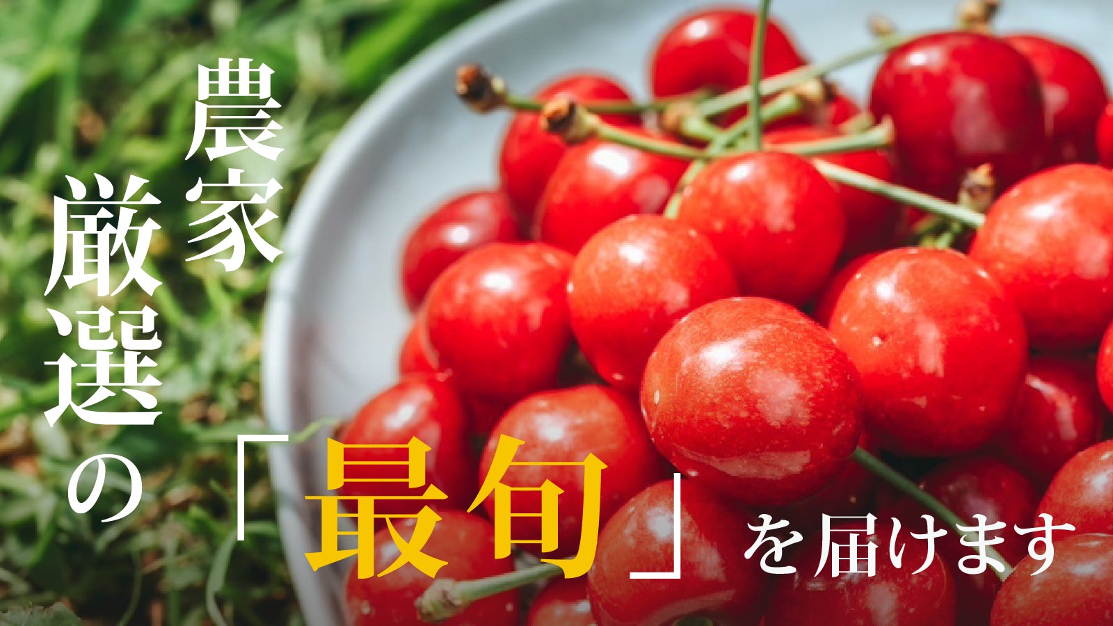 Makuake｜次世代くだもの農家、初の予約販売！渾身のさくらんぼで