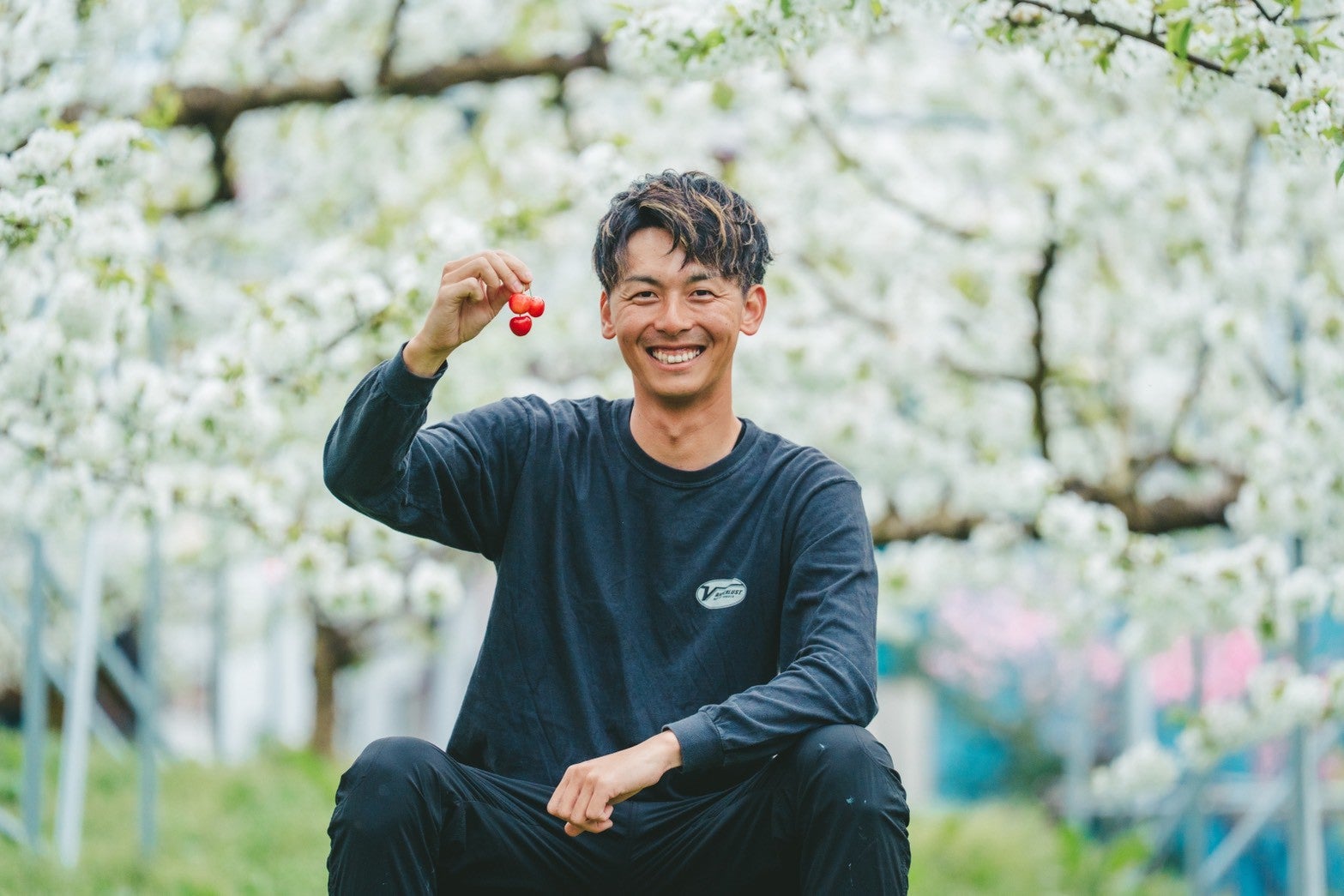 次世代くだもの農家、初の予約販売！渾身のさくらんぼで「既存販売網