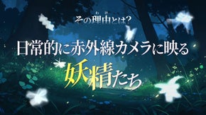 カメラ越しに姿を現す『妖精』たちの存在を探究し、分かち合う空間をつくりたい！