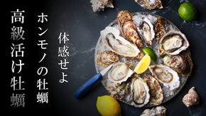 【超破格】これがホンモノの牡蠣！全国から岩牡蠣と真牡蠣6種類を限定価格でお届け